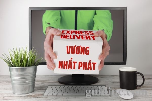 Một số quy định cần biết khi gửi hàng đi mỹ úc canada từ Đồng Tháp